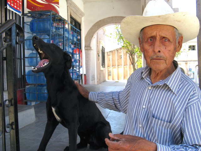 Diablo is the de factor seeing-eye dog for Rosario Morales, a virtually blind man who lives in Barrio Esmeralda. We are old friends with both of them. Diablo and Rosario pass by our house almost everyday. By every measure -- his rotten teeth, wasting body, rheumy eyes -- Diablo is a dead dog. But he has some inner life force. So far, every year when we return to Alamos, Diablo and Rosario are here. Some day, one or both of them will be gone.