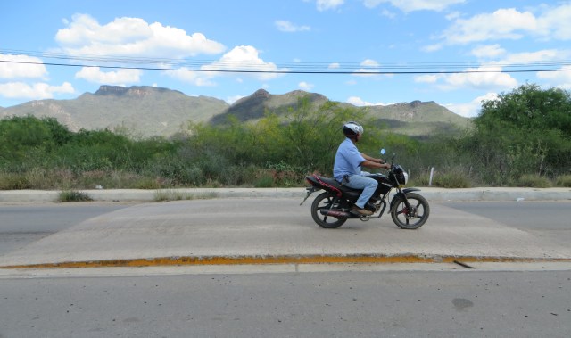 The benign tope in front of the municipal police office. 