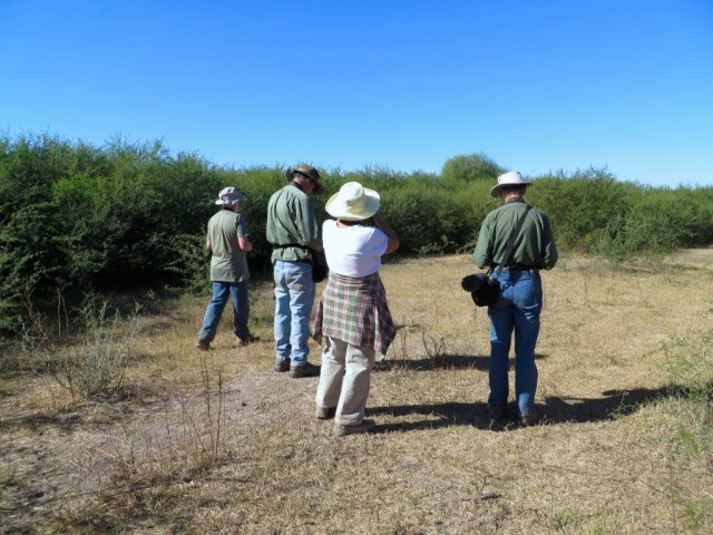Birding a patch of brush that has escaped cultivation. 