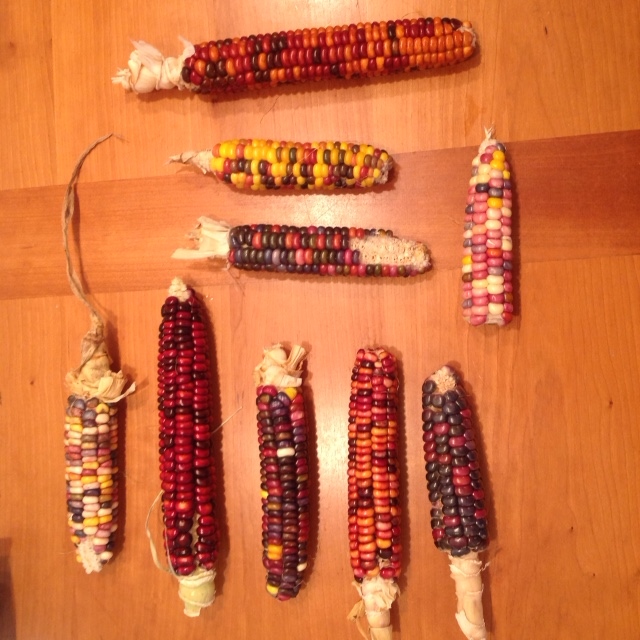 Painted Mountain Corn, I Ching.