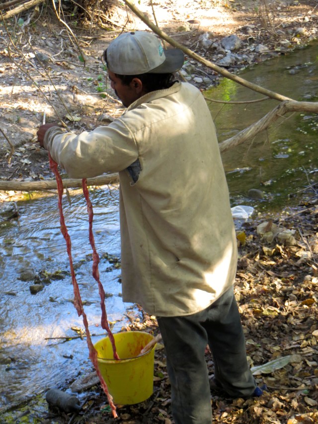 ...Cuando otro seńor está lavando los intestinos en el arroyo. ...While another man is washing the intestines in a stream. 
