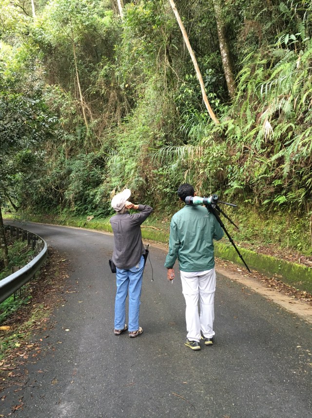 Rose Ann Rowlett and Hazwan bin Suban listening for the Fruithunter (Chlamydochaera jefferyu) on the road at Mt. Kinabalu Park. Photo by Suzanne Winckler