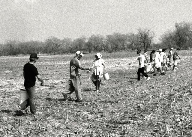 JPGB &amp; W, famous 1994 prairie planting lineup